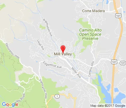 logo-image - mill-valley-ca